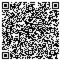QR code with Wilson contacts