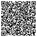 QR code with Wilson contacts