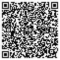 QR code with Steamx contacts