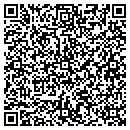 QR code with Pro Homes Usa Inc contacts