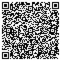QR code with Indo contacts