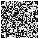 QR code with Precision Alliance contacts