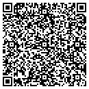 QR code with Premier Ink Systems contacts
