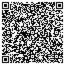 QR code with Process Valve & Supply contacts