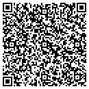 QR code with Pvf Industrial Inc contacts