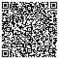QR code with Rapid contacts
