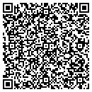 QR code with Pulse Instruments CO contacts
