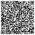 QR code with Blimpie Subs & Salads contacts