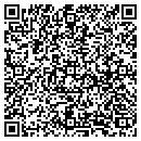 QR code with Pulse Instruments contacts