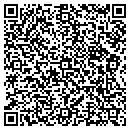 QR code with Prodigy Networx LLC contacts