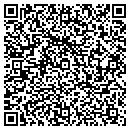 QR code with Cxr Larus Corporation contacts