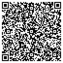 QR code with Cogent Instruments contacts