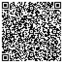 QR code with Progress Telecom LLC contacts
