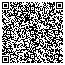 QR code with Carpet Store contacts