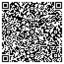 QR code with Precise Molds contacts