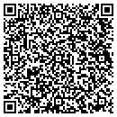 QR code with Productive Concepts contacts