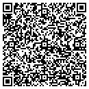 QR code with Professional Tool contacts