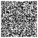 QR code with Pulse Ray Machining contacts