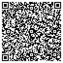QR code with Conceptual Visions contacts