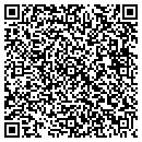 QR code with Premier Pipe contacts