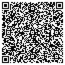 QR code with Precision Photonics contacts