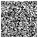 QR code with Princeton It Service contacts