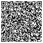 QR code with Pvp Advanced Eo Systems contacts