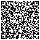QR code with City Vapor and ecig4 contacts