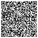 QR code with Clarke Pump Systems contacts