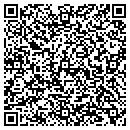 QR code with Pro-Elements Corp contacts