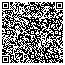 QR code with Cambridge Nano Tech contacts