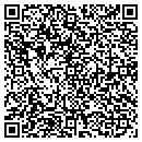 QR code with Cdl Technology Inc contacts