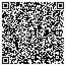 QR code with Proto Dimensions contacts