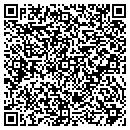 QR code with Professional Woodwork contacts