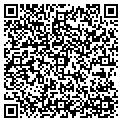 QR code with Dmf contacts