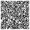 QR code with Chameleon Software contacts