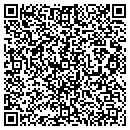QR code with Cybertech Systems Inc contacts