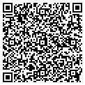 QR code with Ditati contacts