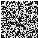 QR code with PULSE contacts