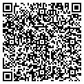 QR code with Virtual Mis Co contacts