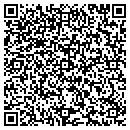 QR code with Pylon Technology contacts