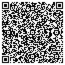 QR code with Cynergy Data contacts