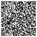 QR code with PureTouchPOS contacts