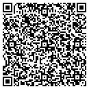 QR code with Chameleon Data Corp contacts