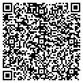 QR code with Light contacts