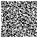 QR code with Capture 3D Inc contacts