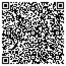 QR code with Premier Data contacts