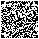 QR code with Central NY Ddso of Rome contacts
