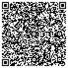 QR code with Platinum Underwriters contacts
