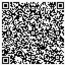 QR code with Pyr Tech Inc contacts